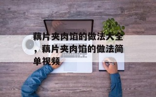 藕片夹肉馅的做法大全，藕片夹肉馅的做法简单视频