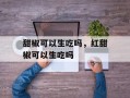 甜椒可以生吃吗，红甜椒可以生吃吗