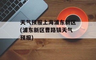 天气预报上海浦东新区(浦东新区曹路镇天气预报)
