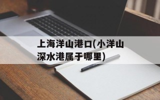 上海洋山港口(小洋山深水港属于哪里)