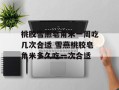 桃胶雪燕皂角米一周吃几次合适 雪燕桃胶皂角米多久吃一次合适