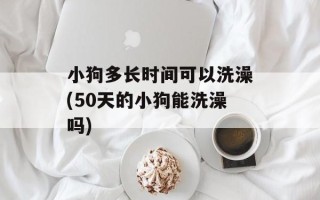 小狗多长时间可以洗澡(50天的小狗能洗澡吗)