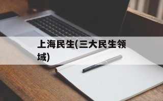 上海民生(三大民生领域)