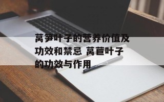 莴笋叶子的营养价值及功效和禁忌 莴苣叶子的功效与作用