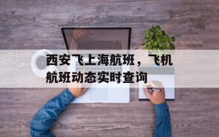 西安飞上海航班，飞机航班动态实时查询