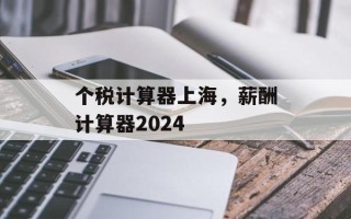 个税计算器上海，薪酬计算器2024