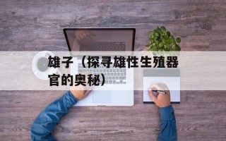 雄子（探寻雄性生殖器官的奥秘）