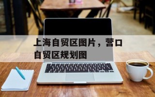 上海自贸区图片，营口自贸区规划图