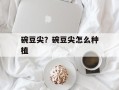 碗豆尖？碗豆尖怎么种植