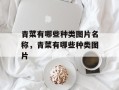 青菜有哪些种类图片名称，青菜有哪些种类图片