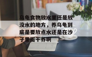 乌龟食物放水里还是放没水的地方，养乌龟到底是要放点水还是在沙子里面干养啊