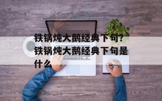 铁锅炖大鹅经典下句？铁锅炖大鹅经典下句是什么