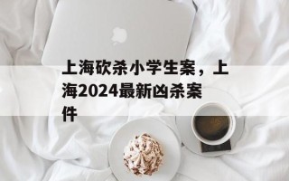 上海砍杀小学生案，上海2024最新凶杀案件