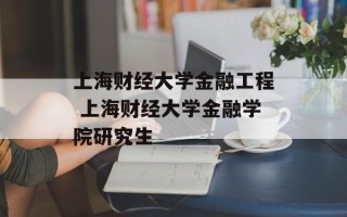 上海财经大学金融工程 上海财经大学金融学院研究生