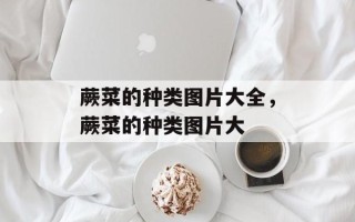 蕨菜的种类图片大全，蕨菜的种类图片大