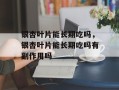 银杏叶片能长期吃吗，银杏叶片能长期吃吗有副作用吗