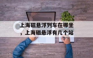 上海磁悬浮列车在哪坐，上海磁悬浮有几个站