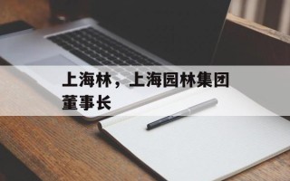 上海林，上海园林集团董事长