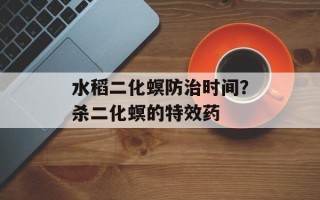 水稻二化螟防治时间？杀二化螟的特效药