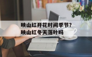 映山红开花时间季节？映山红冬天落叶吗