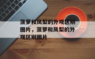 菠萝和凤梨的外观区别图片，菠萝和凤梨的外观区别图片