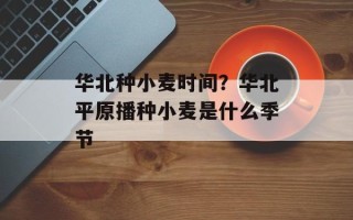 华北种小麦时间？华北平原播种小麦是什么季节