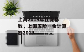 上海2019年社保基数，上海五险一金计算器2019