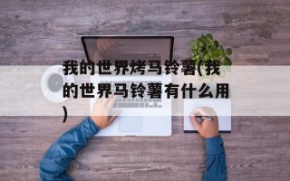我的世界烤马铃薯(我的世界马铃薯有什么用)