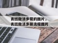 青团做法步骤的图片，青团做法步骤流程图片