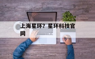 上海星环？星环科技官网