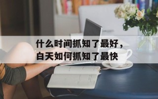 什么时间抓知了最好，白天如何抓知了最快