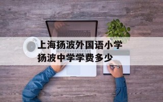 上海扬波外国语小学 扬波中学学费多少