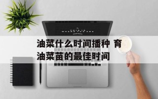 油菜什么时间播种 育油菜苗的最佳时间