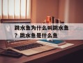 跳水鱼为什么叫跳水鱼？跳水鱼是什么鱼