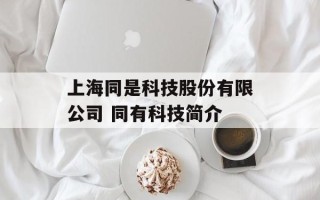 上海同是科技股份有限公司 同有科技简介