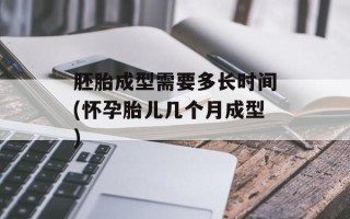 胚胎成型需要多长时间(怀孕胎儿几个月成型)