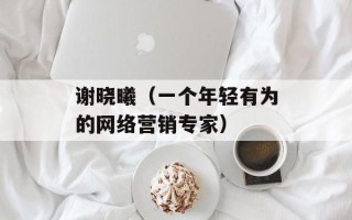 谢晓曦（一个年轻有为的网络营销专家）