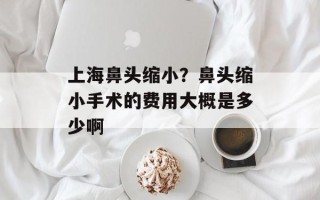 上海鼻头缩小？鼻头缩小手术的费用大概是多少啊
