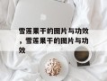 雪莲果干的图片与功效，雪莲果干的图片与功效