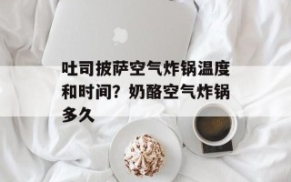 吐司披萨空气炸锅温度和时间？奶酪空气炸锅多久