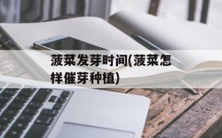 菠菜发芽时间(菠菜怎样催芽种植)