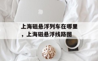 上海磁悬浮列车在哪里，上海磁悬浮线路图