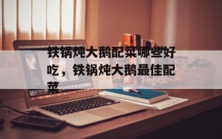 铁锅炖大鹅配菜哪些好吃，铁锅炖大鹅最佳配菜