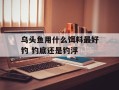 乌头鱼用什么饵料最好钓 钓底还是钓浮