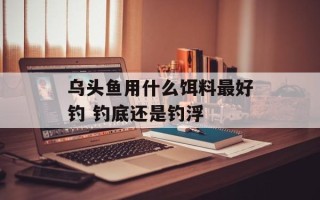 乌头鱼用什么饵料最好钓 钓底还是钓浮