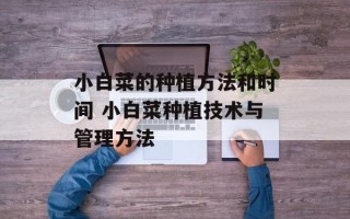 小白菜的种植方法和时间 小白菜种植技术与管理方法