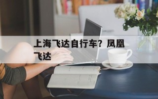 上海飞达自行车？凤凰飞达