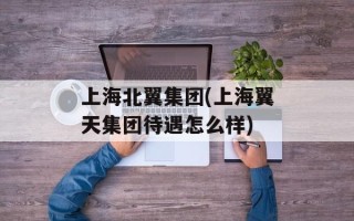 上海北翼集团(上海翼天集团待遇怎么样)