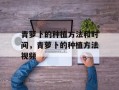青萝卜的种植方法和时间，青萝卜的种植方法视频