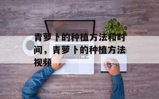青萝卜的种植方法和时间，青萝卜的种植方法视频